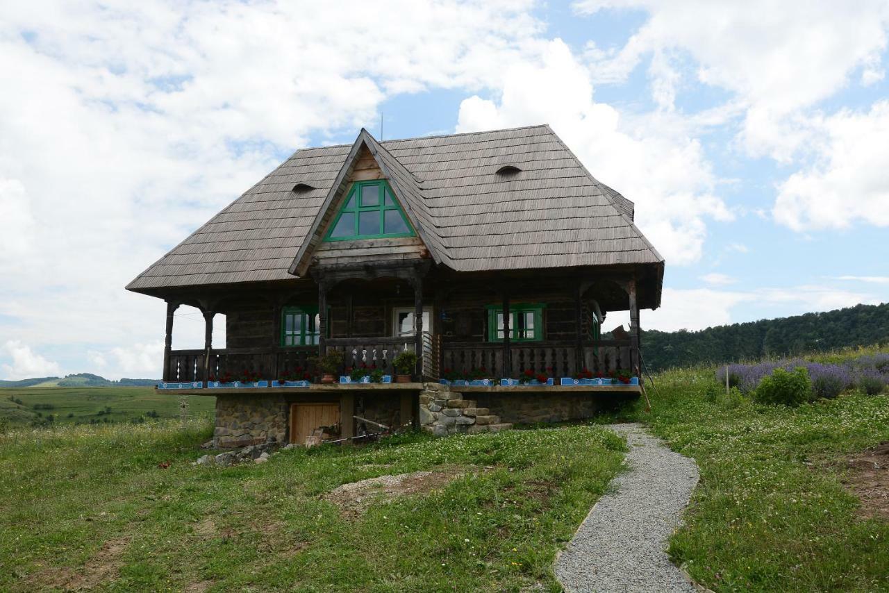 Casa Glod Guest House Glod  Exterior photo